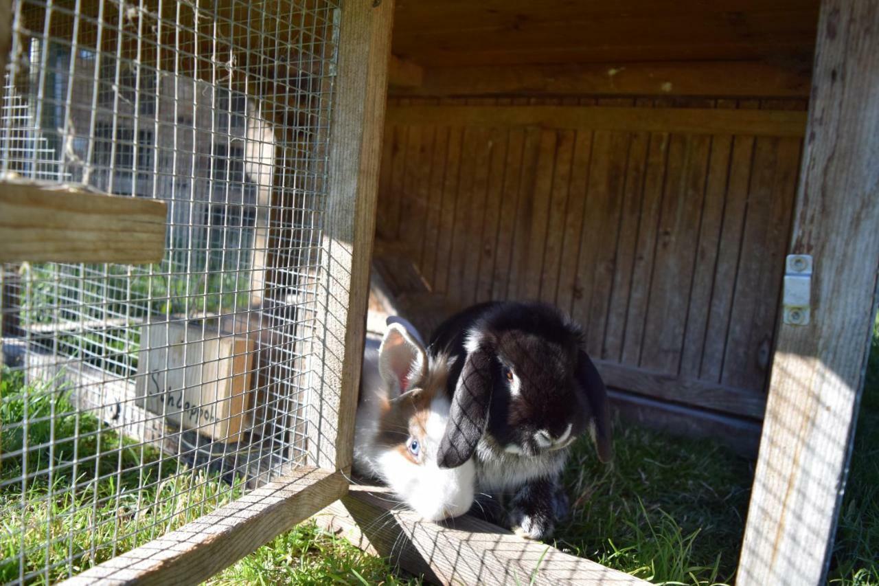 Toetscherhof Terento Zewnętrze zdjęcie