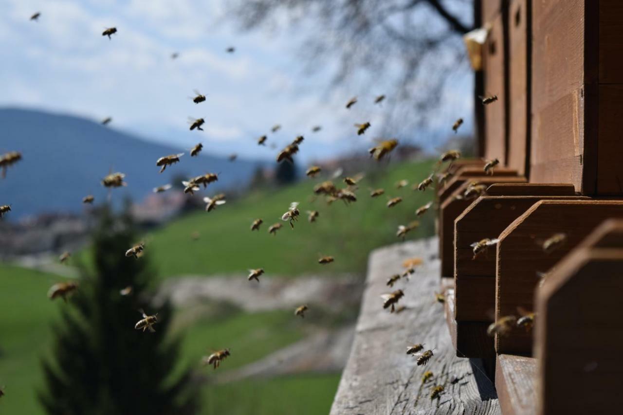 Toetscherhof Terento Zewnętrze zdjęcie